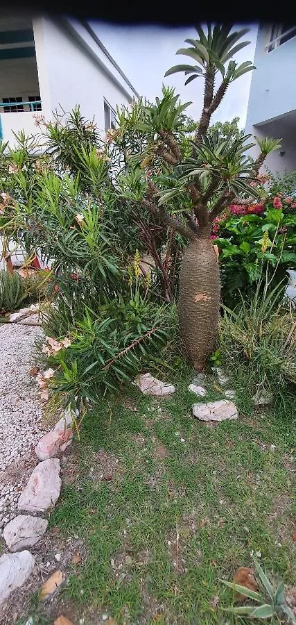 Club Seru Coral Ap Toekan Santa Catharina Κουρασάο